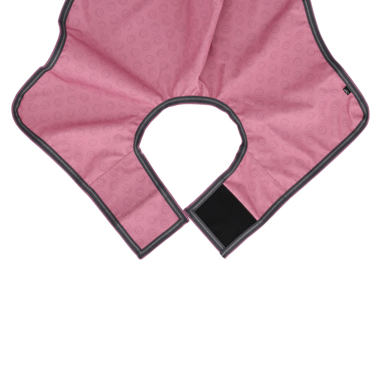 Exercise rug Hobby horse collection