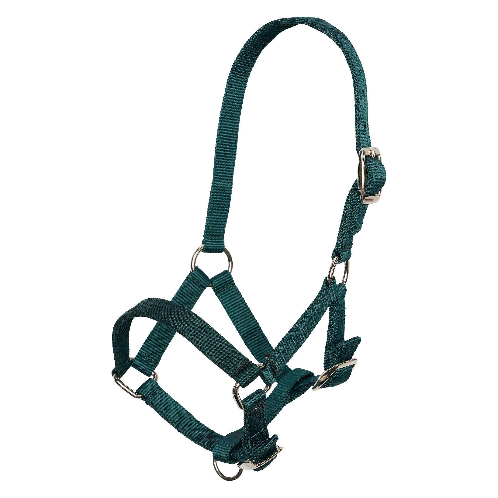 Headcollar foal IRH