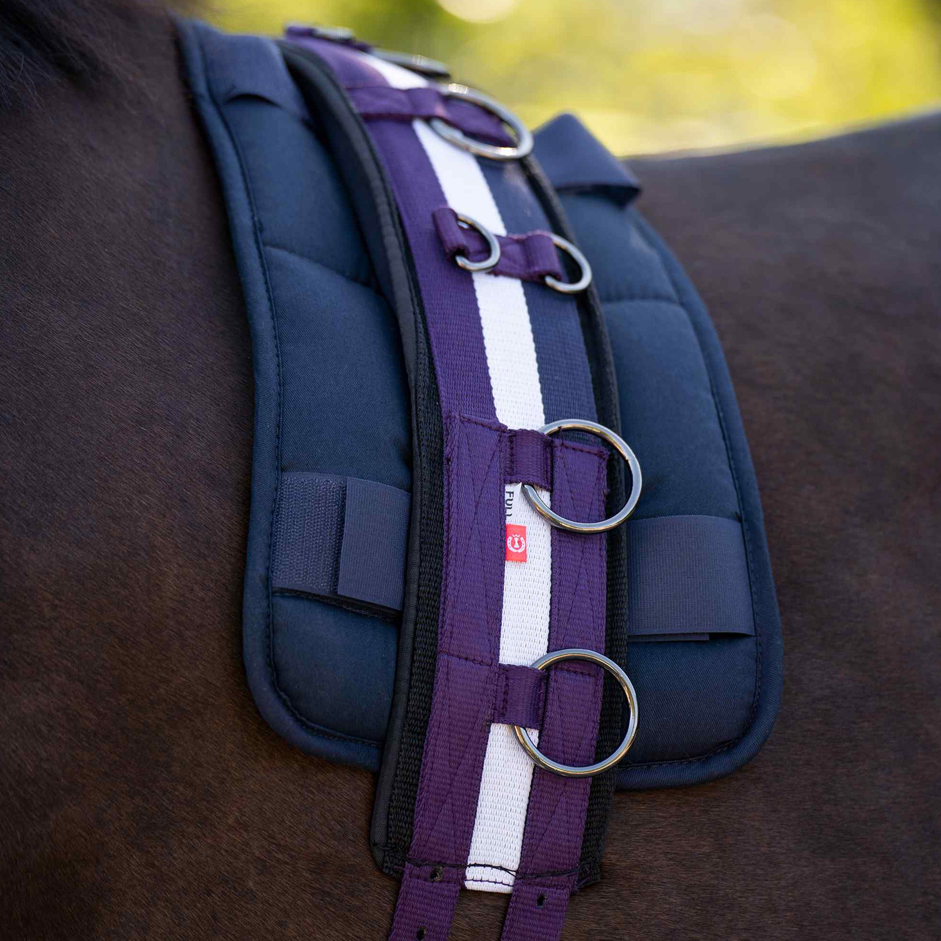 Lunging girth IRHDeluxe Extra