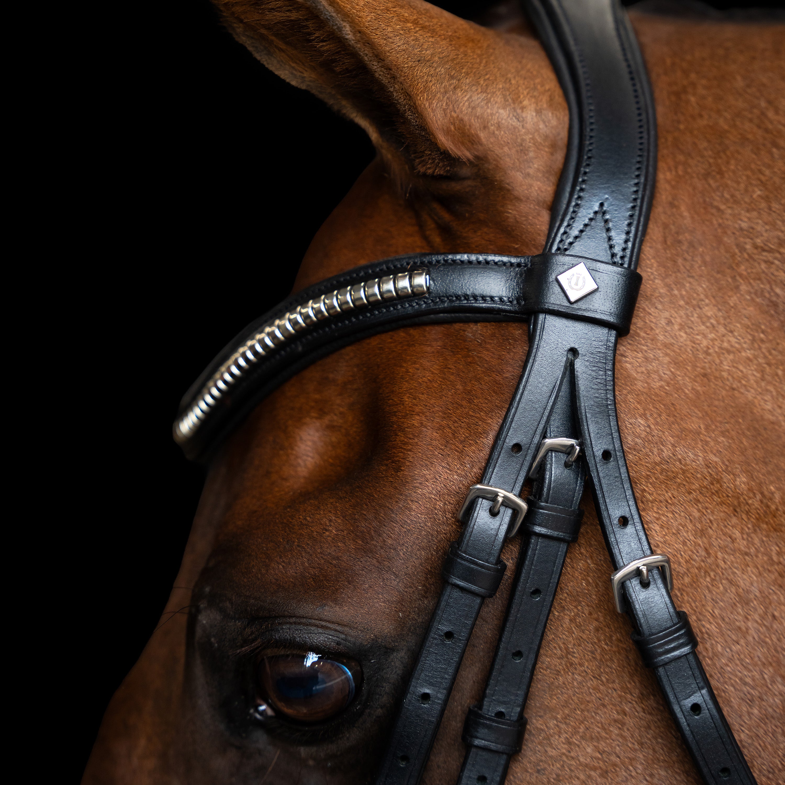Bridle Mexican IRH