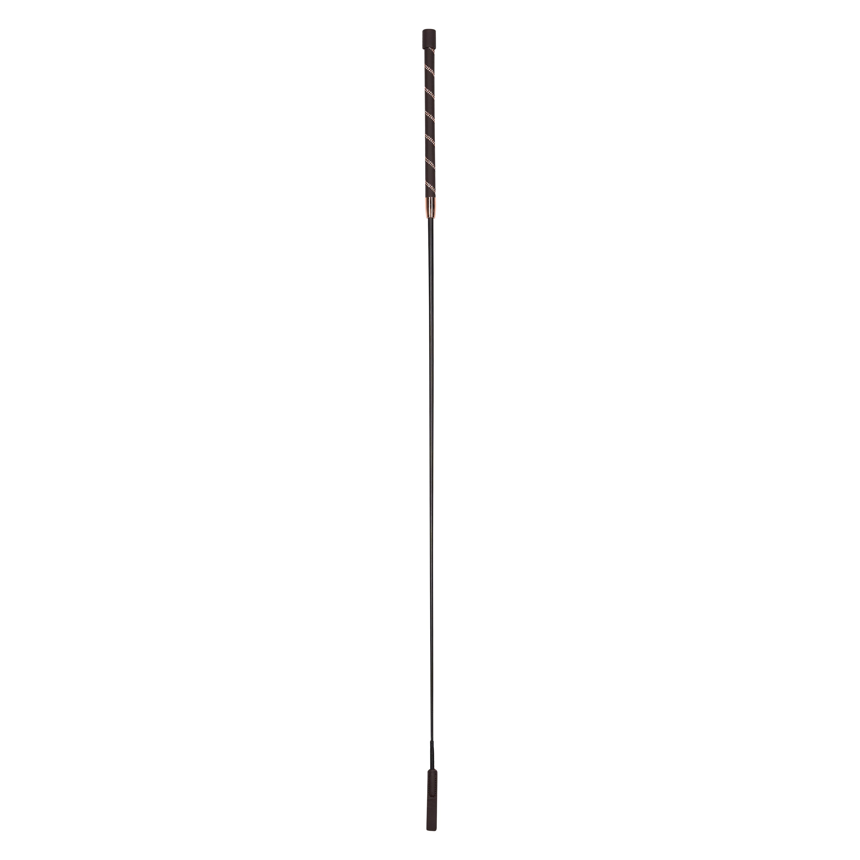 Dressage whip IRHRegal Shine