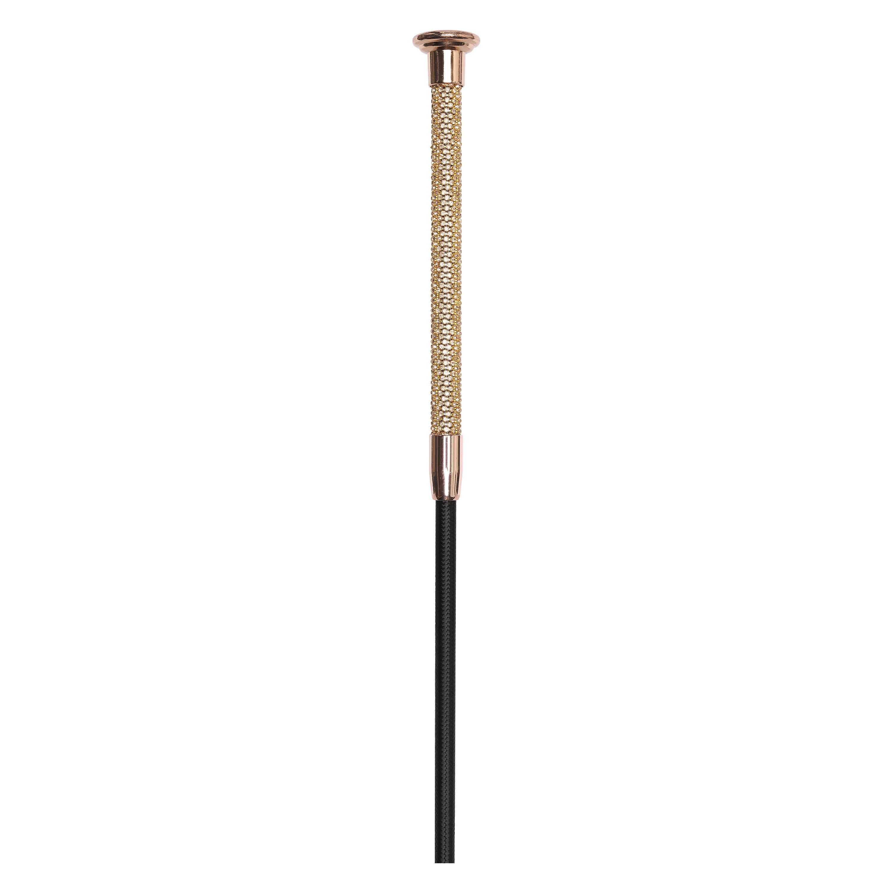 Dressage whip IRHStones