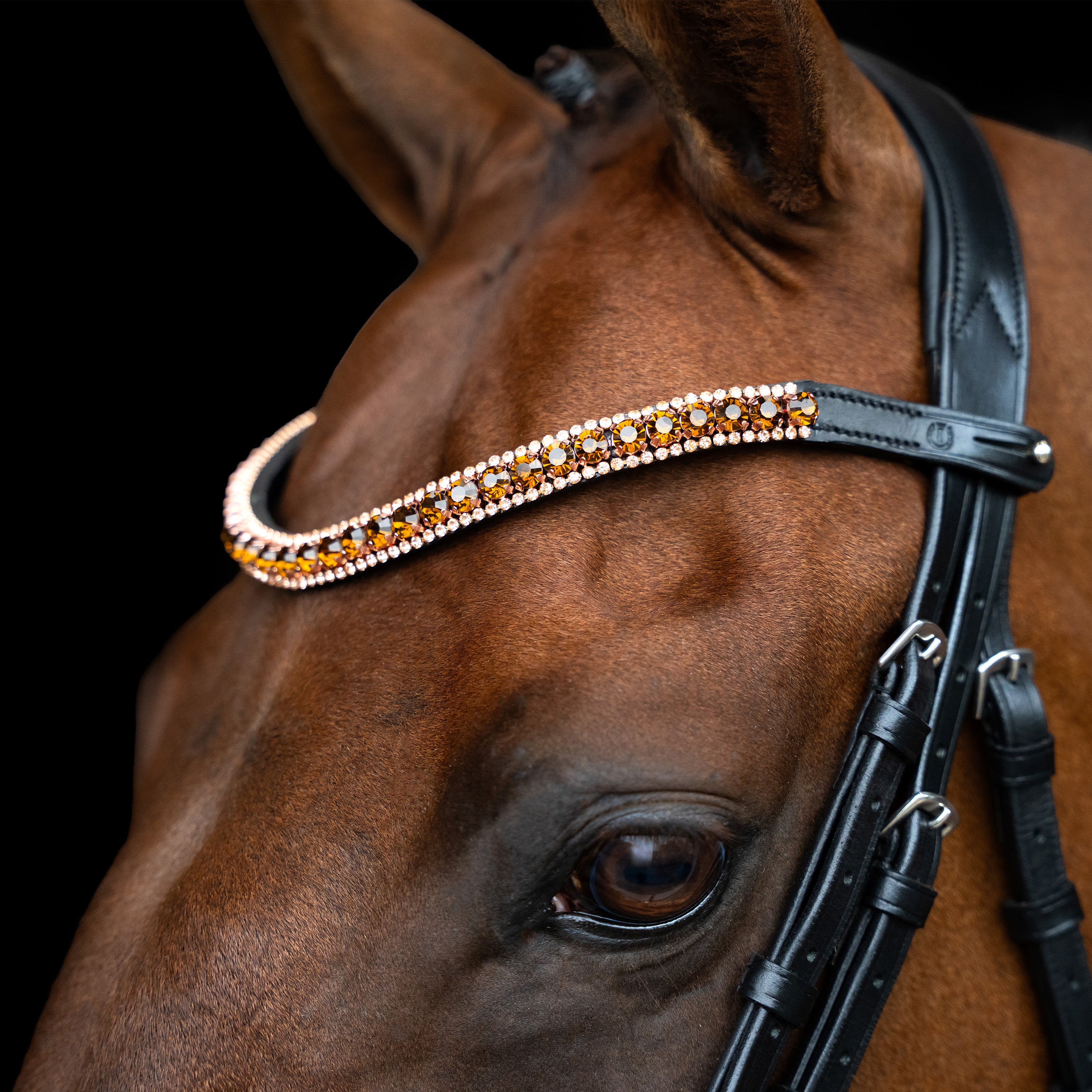 Browband IRHGrande