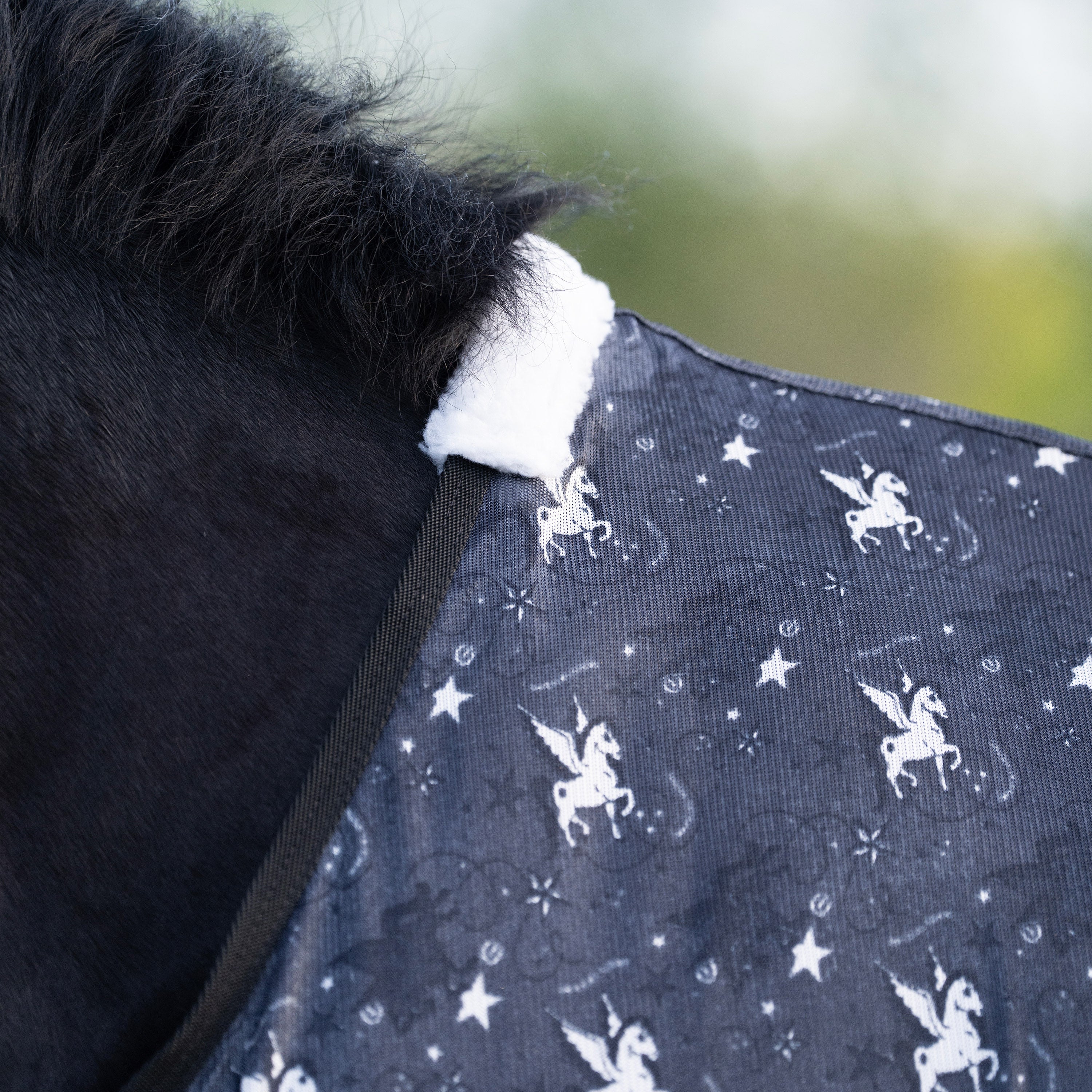 Fly blanket IRHCarlys