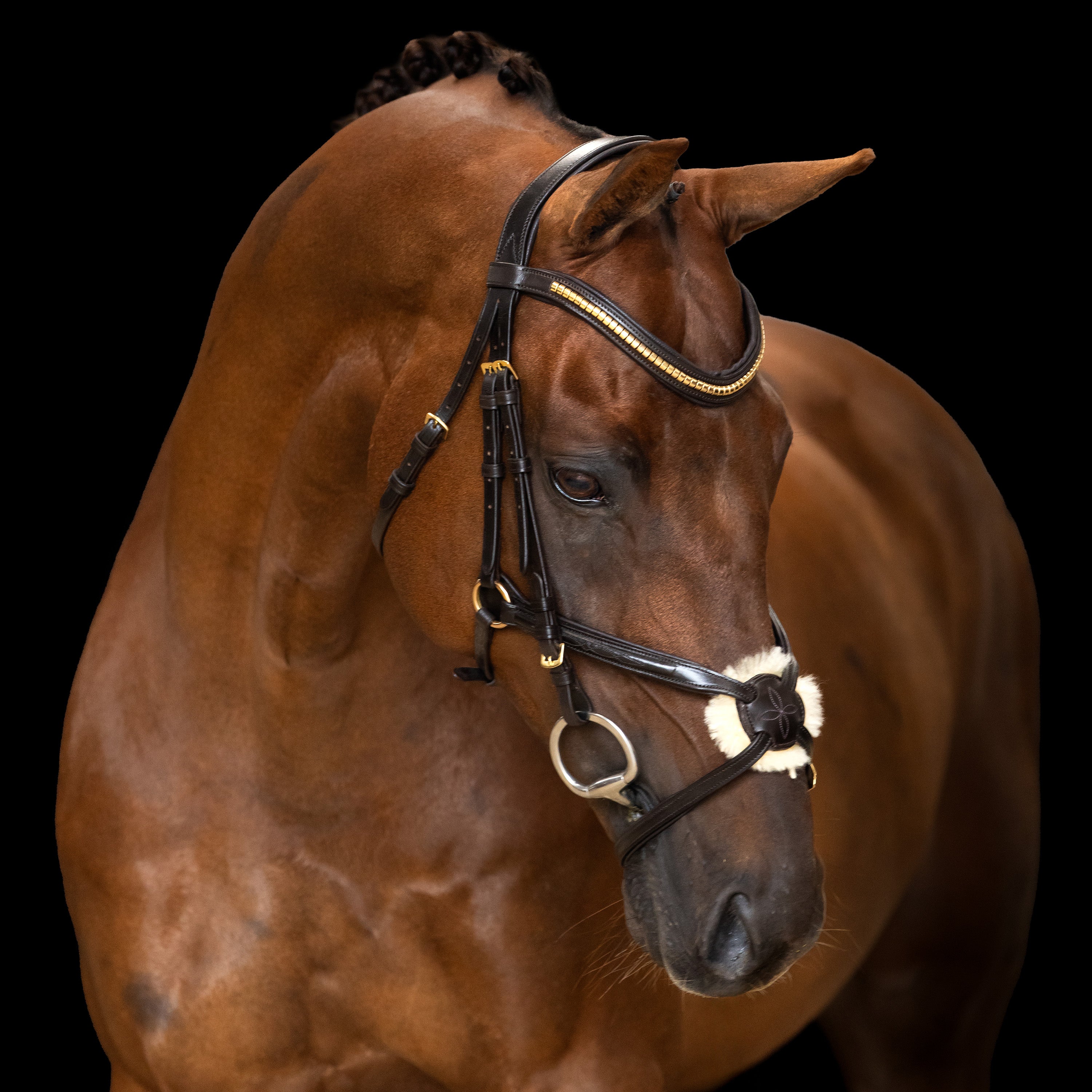 Bridle Mexican IRH