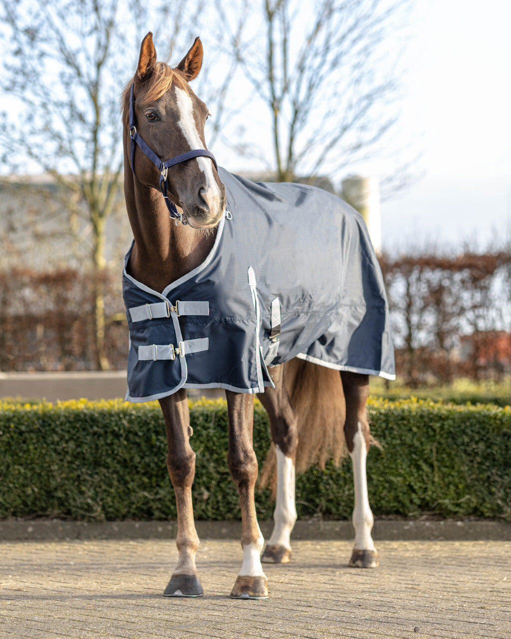 turnout rug non-padded