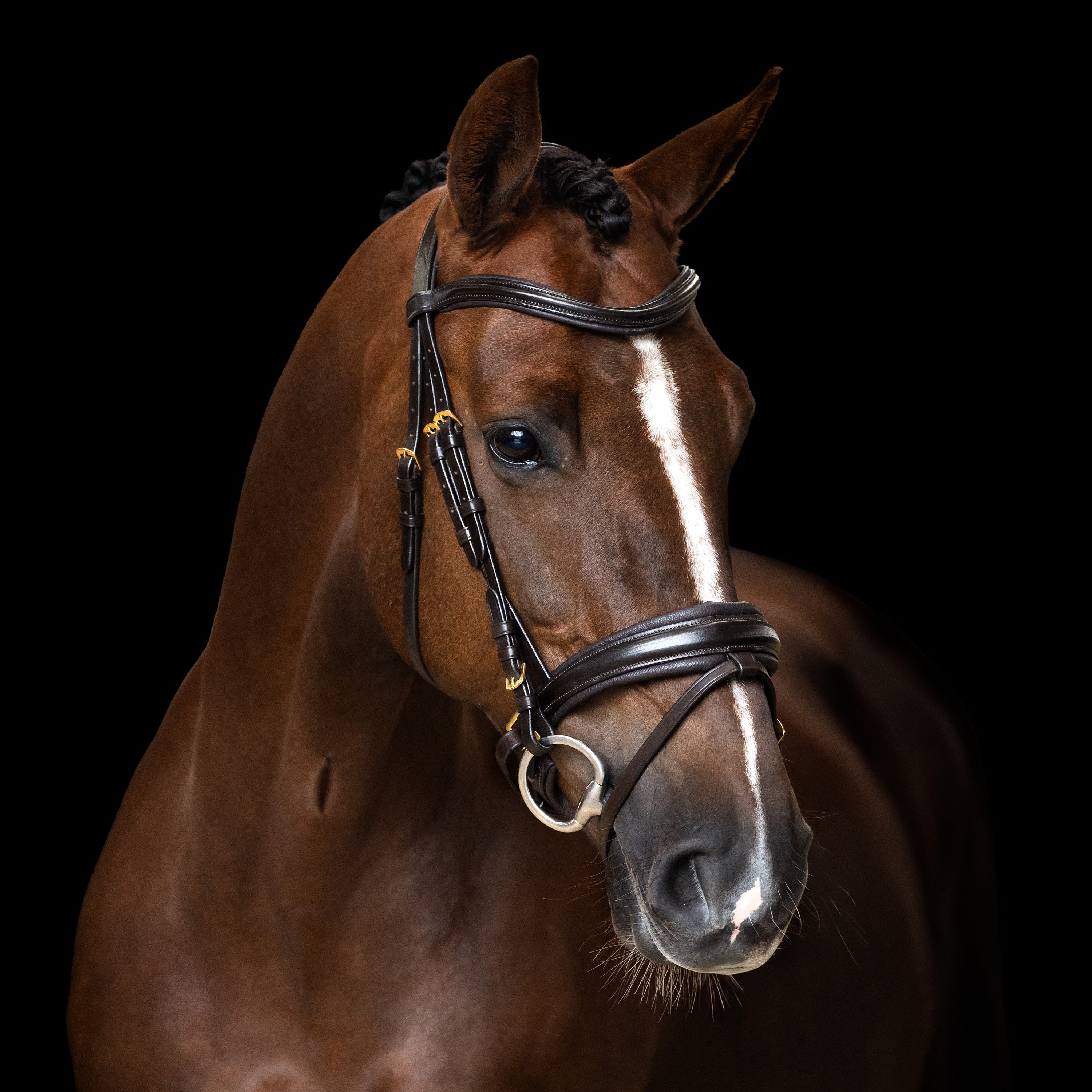 Bridle English IRH combined sleek