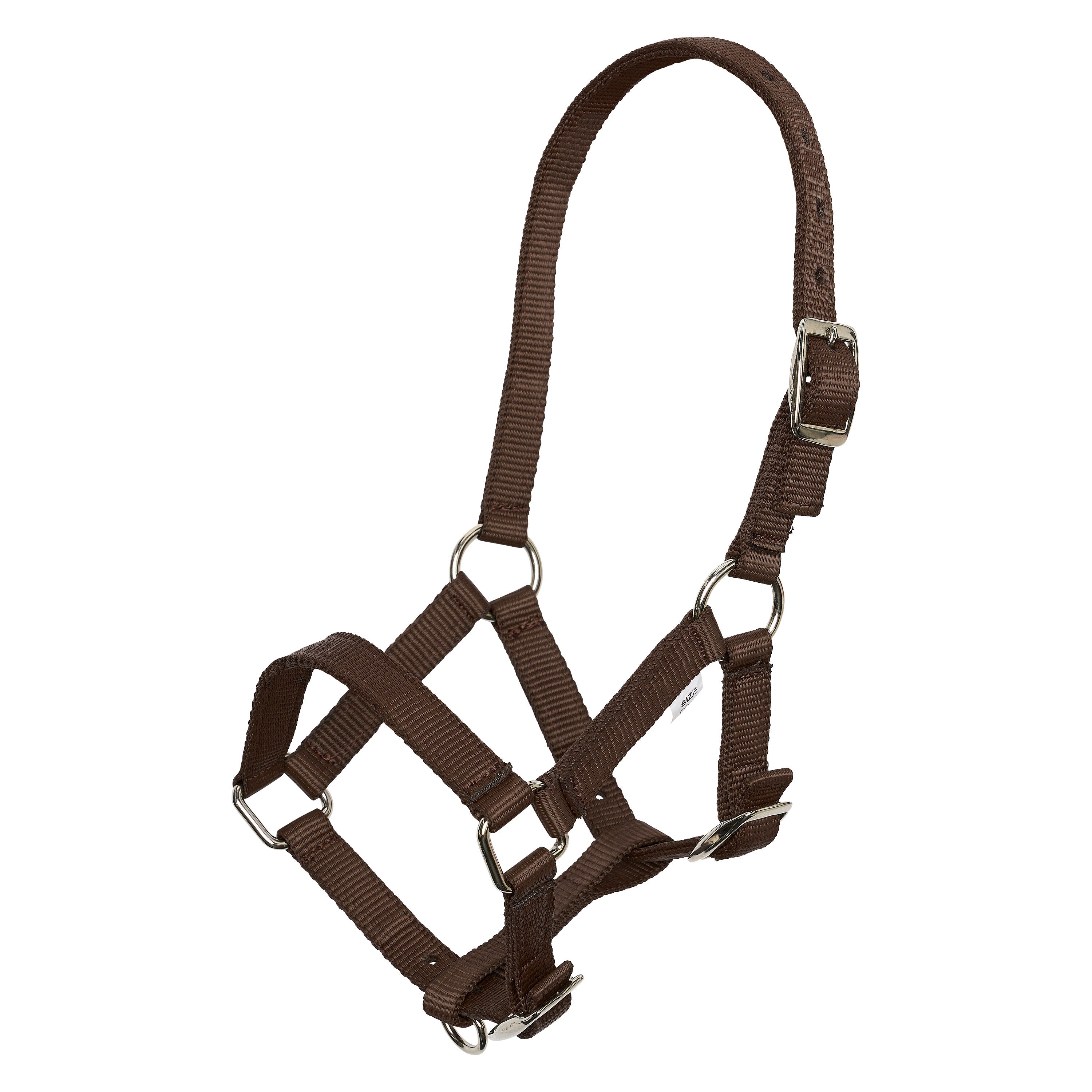 Headcollar foal IRH