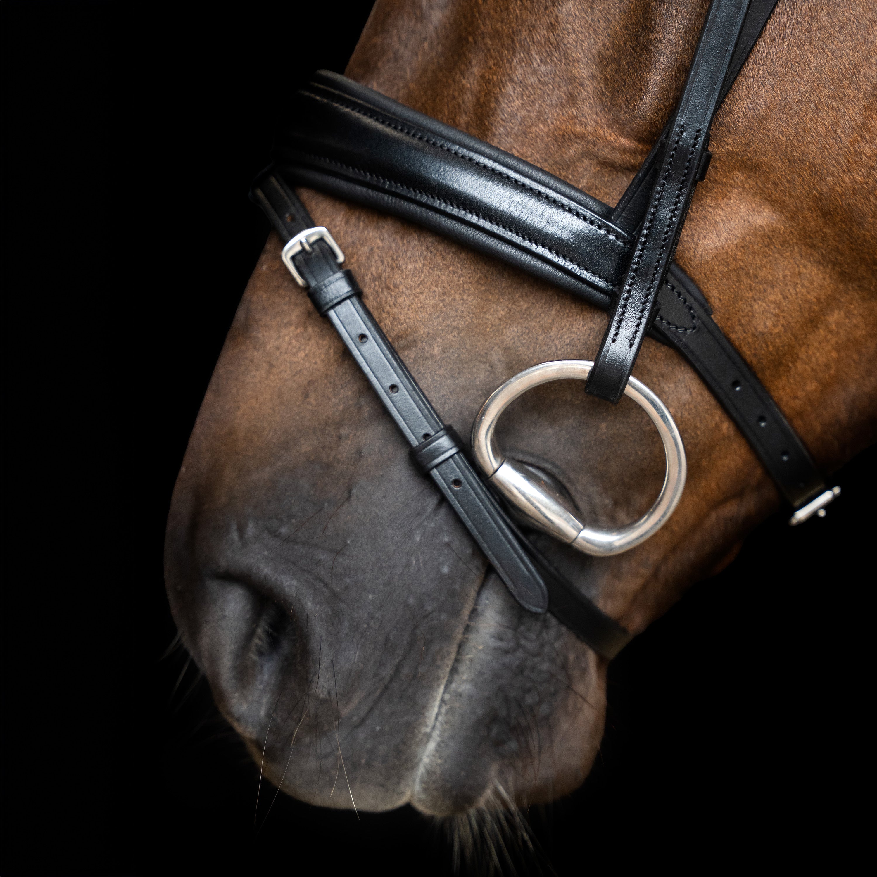 Bridle IRH combined noseband simple