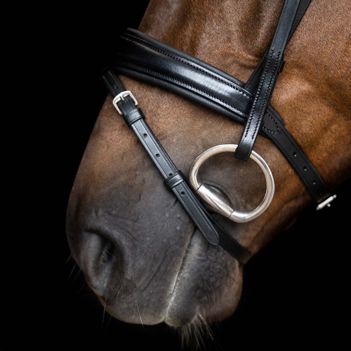 Bridle IRH combined noseband simple