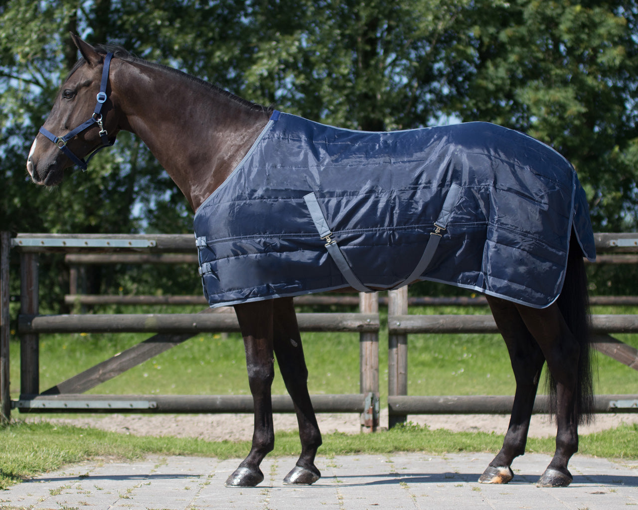 Stable rug Start 150gr