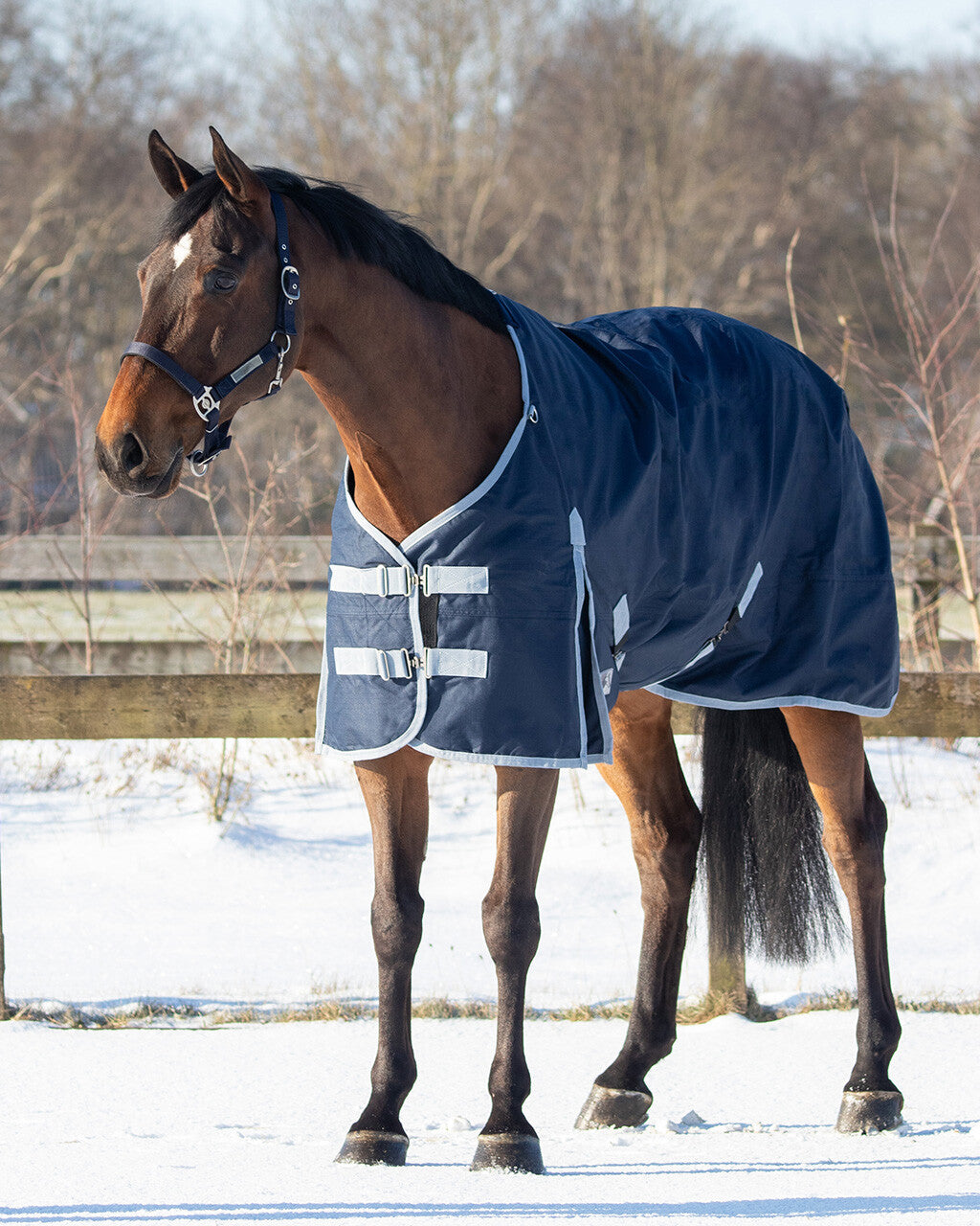 turnout rug 600d 100gr