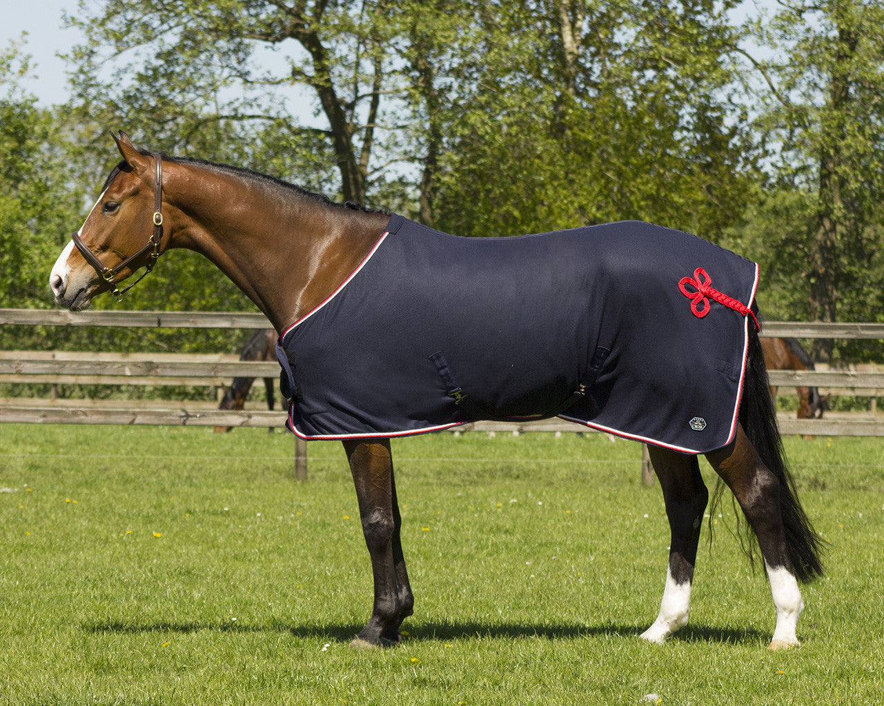 fleece rug eldorado