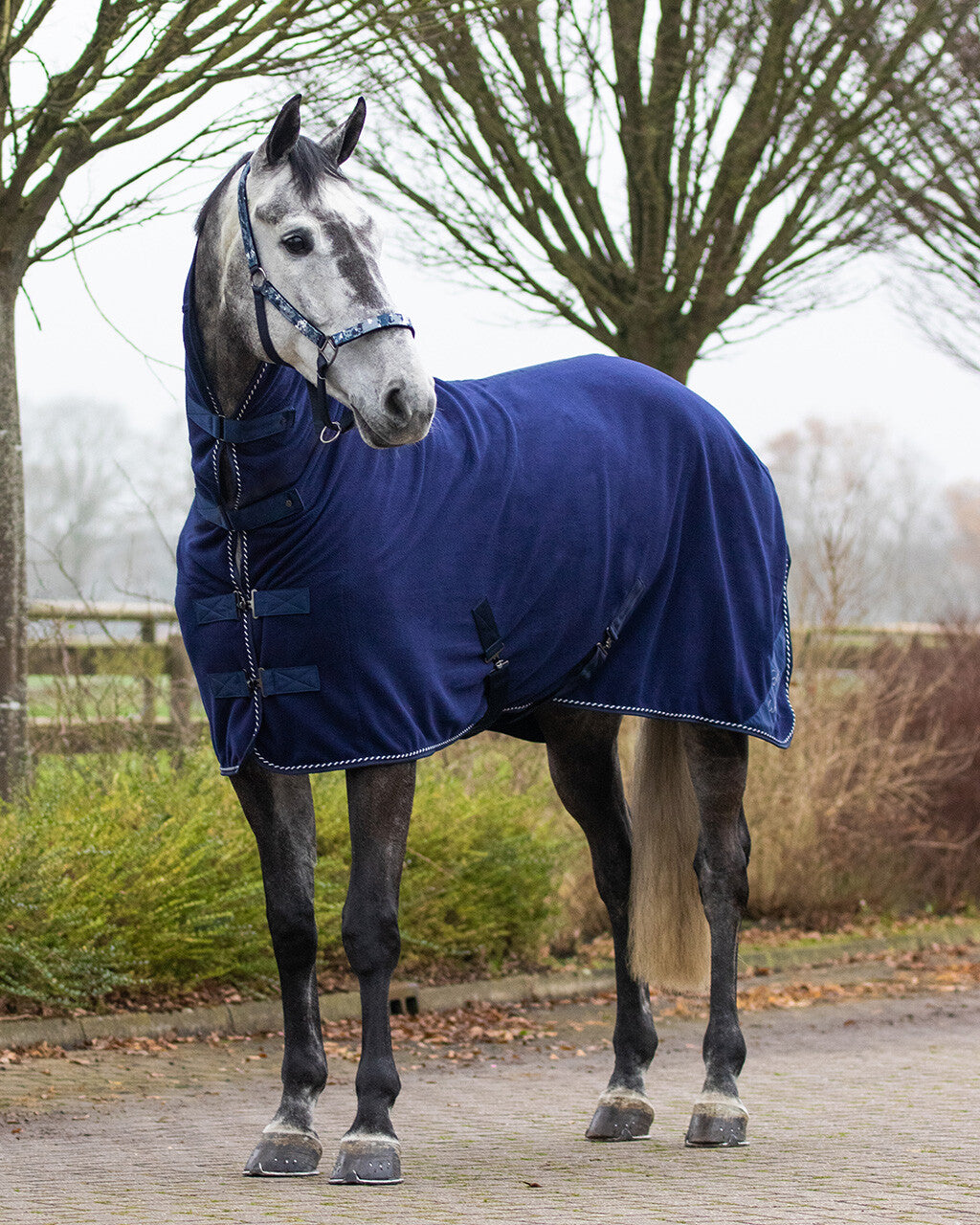 fleece rug brilliance with neck