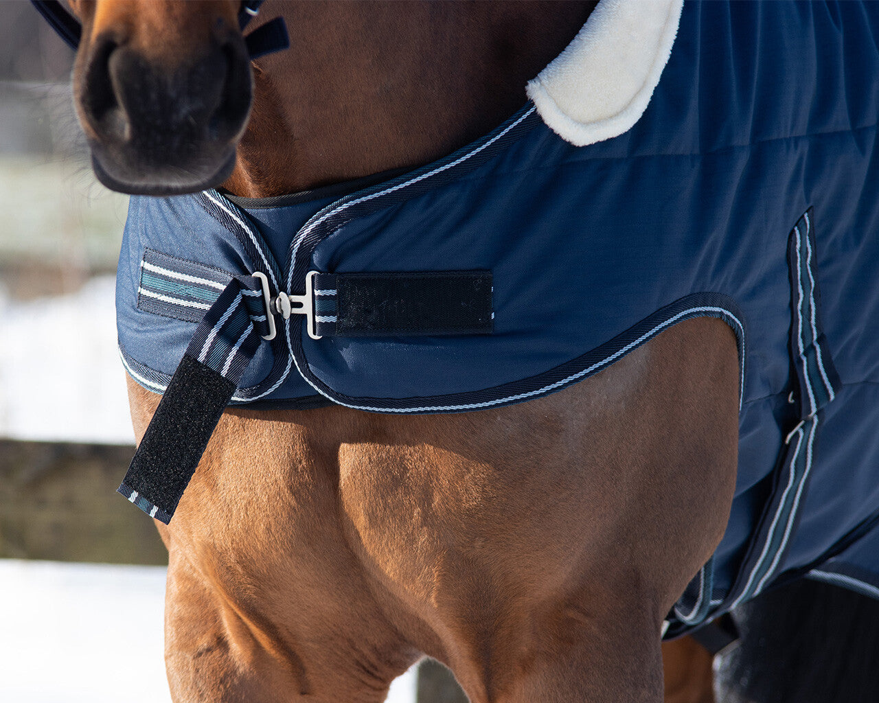 stable rug 200gr with shoulder cut out