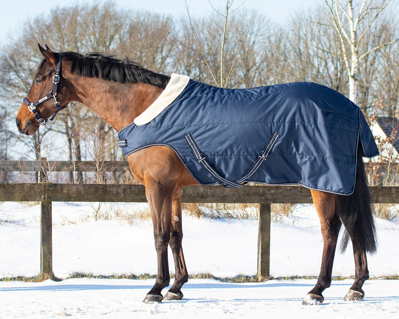stable rug 200gr with shoulder cut out