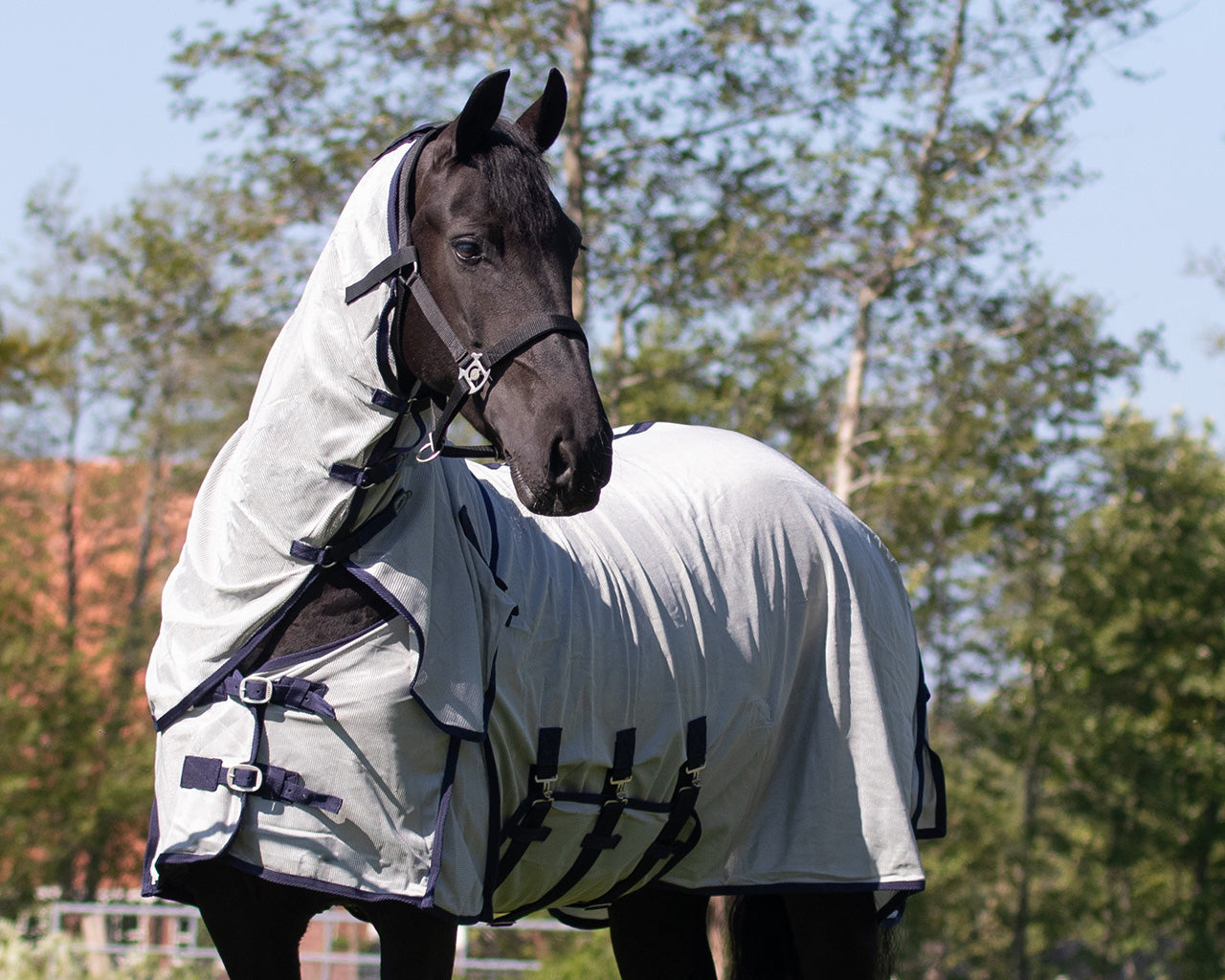Fly sheet with detachable neck and mask Big neck
