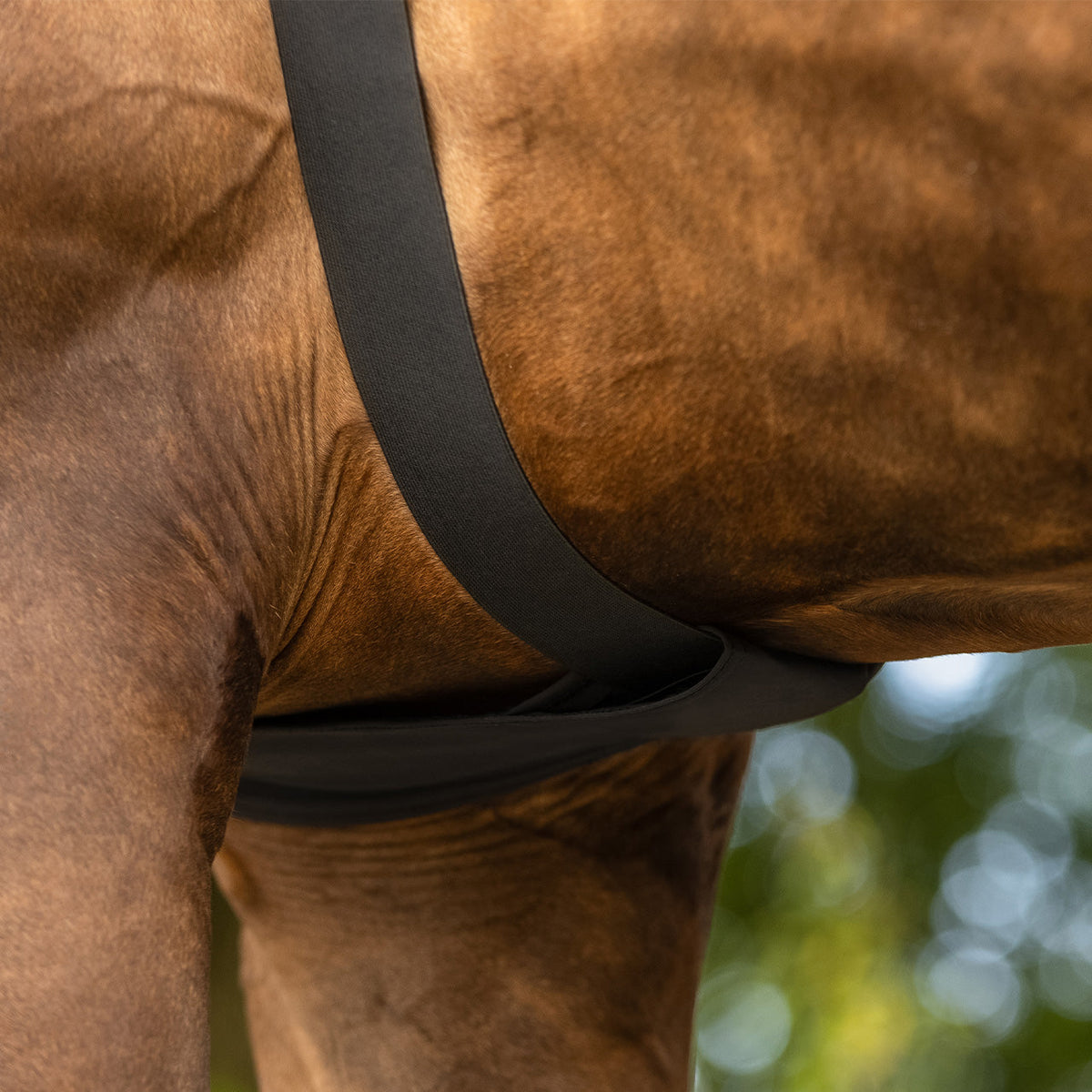 Elastic neckprotector