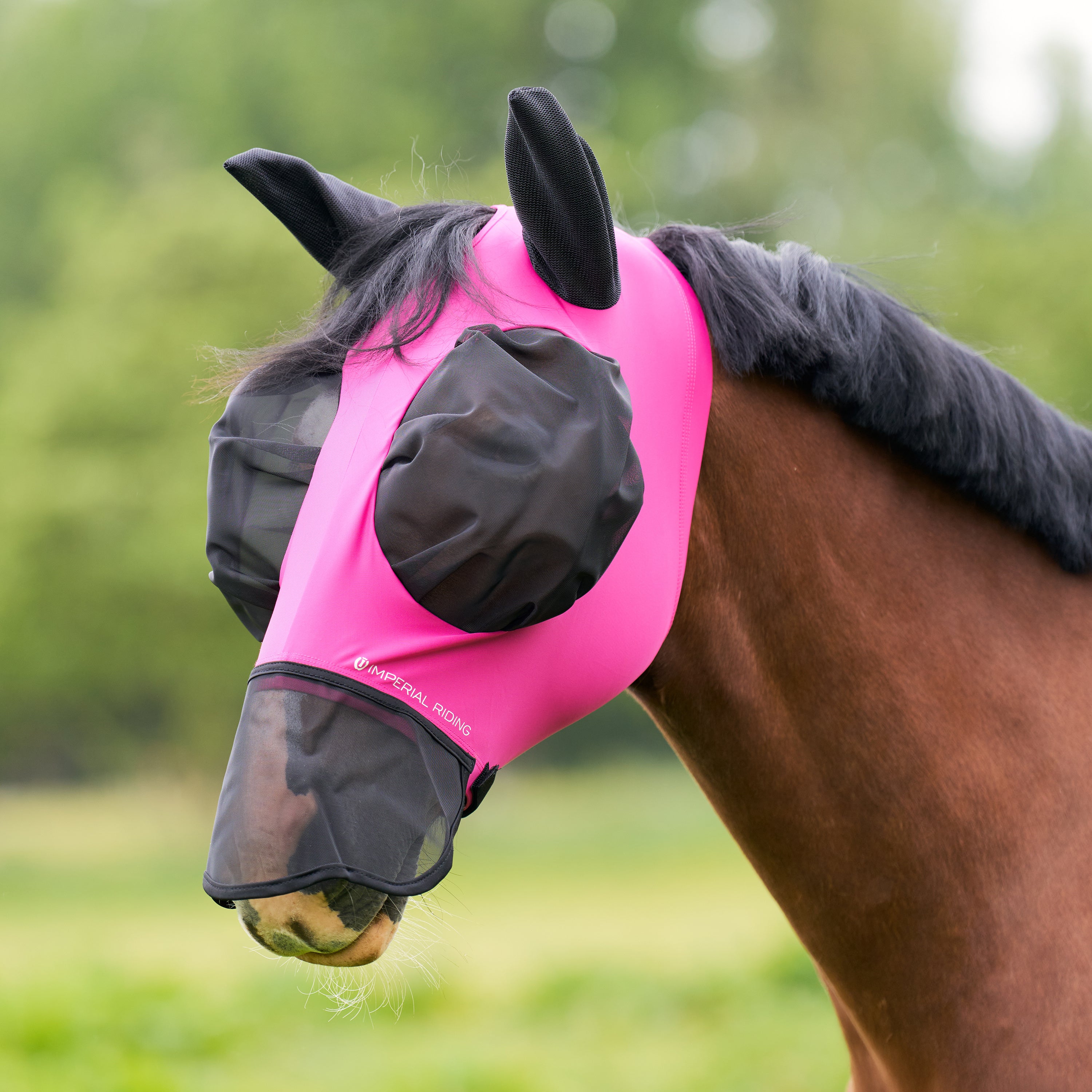 Flymask with nose IRHTrail ride