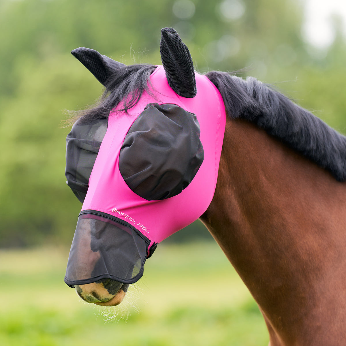 Flymask with nose IRHTrail ride