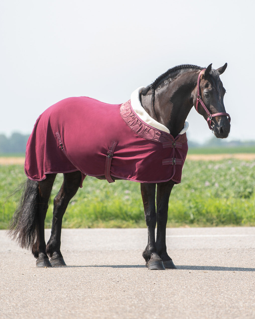 fleece rug lily