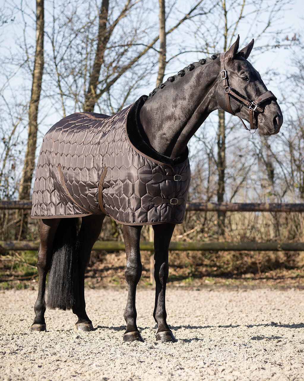 stable rug classy