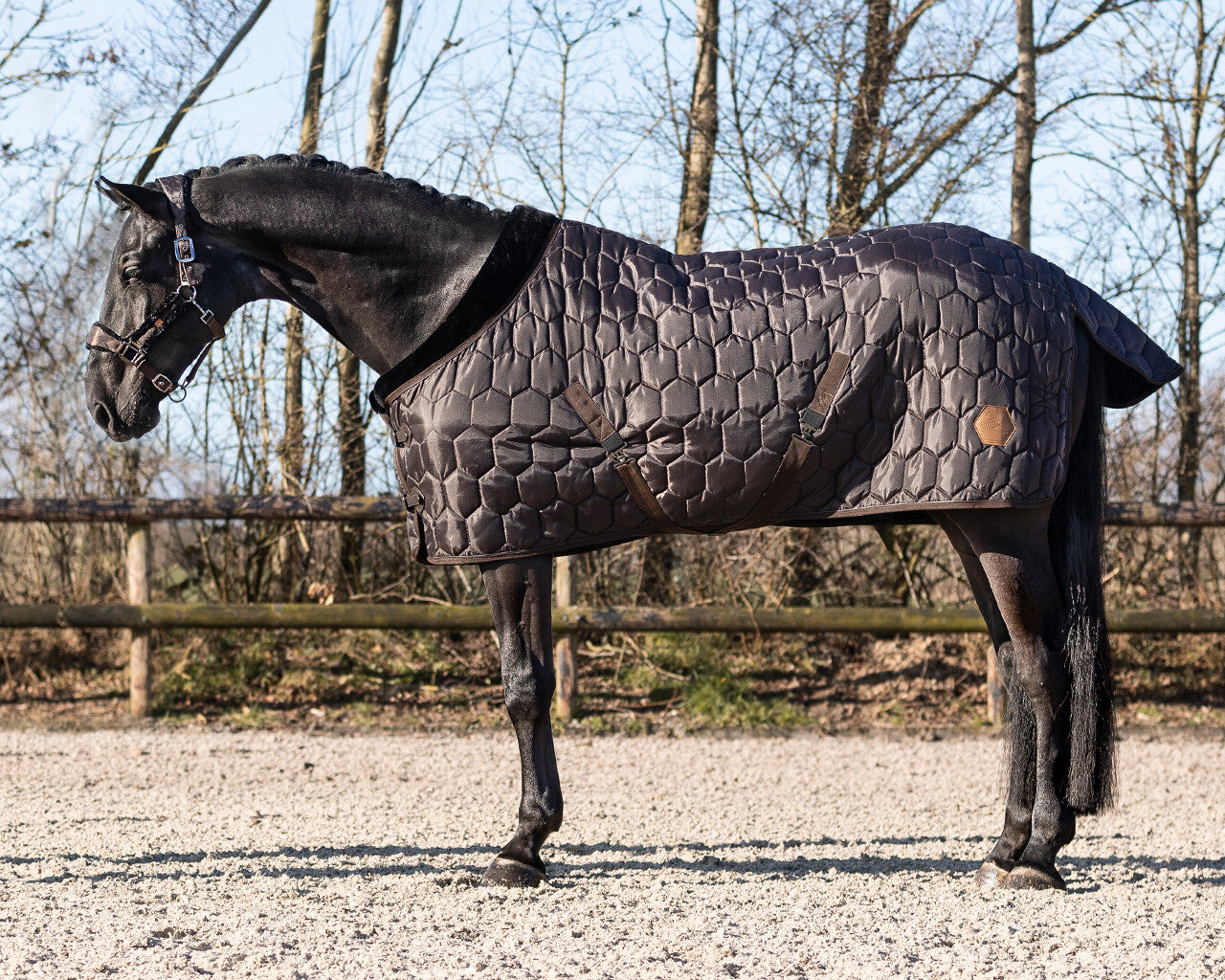 stable rug classy