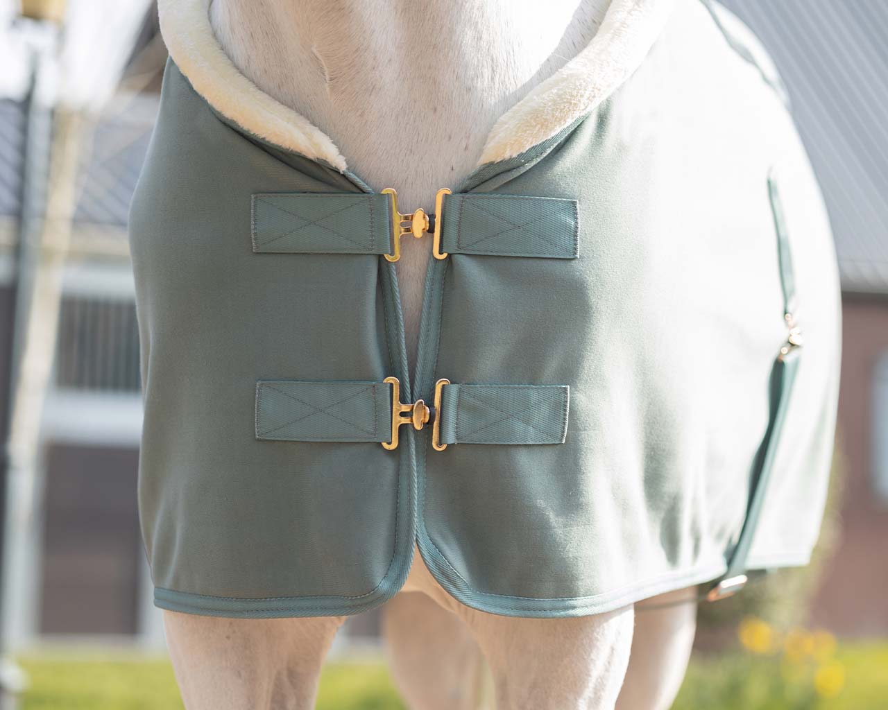 show rug equestrian dream