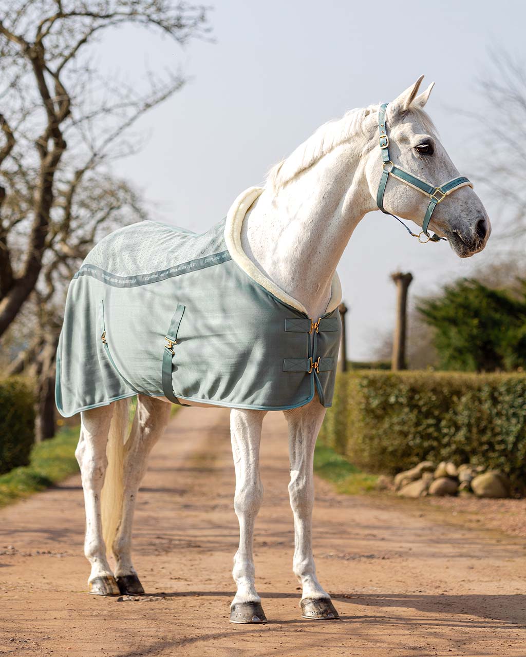 show rug equestrian dream