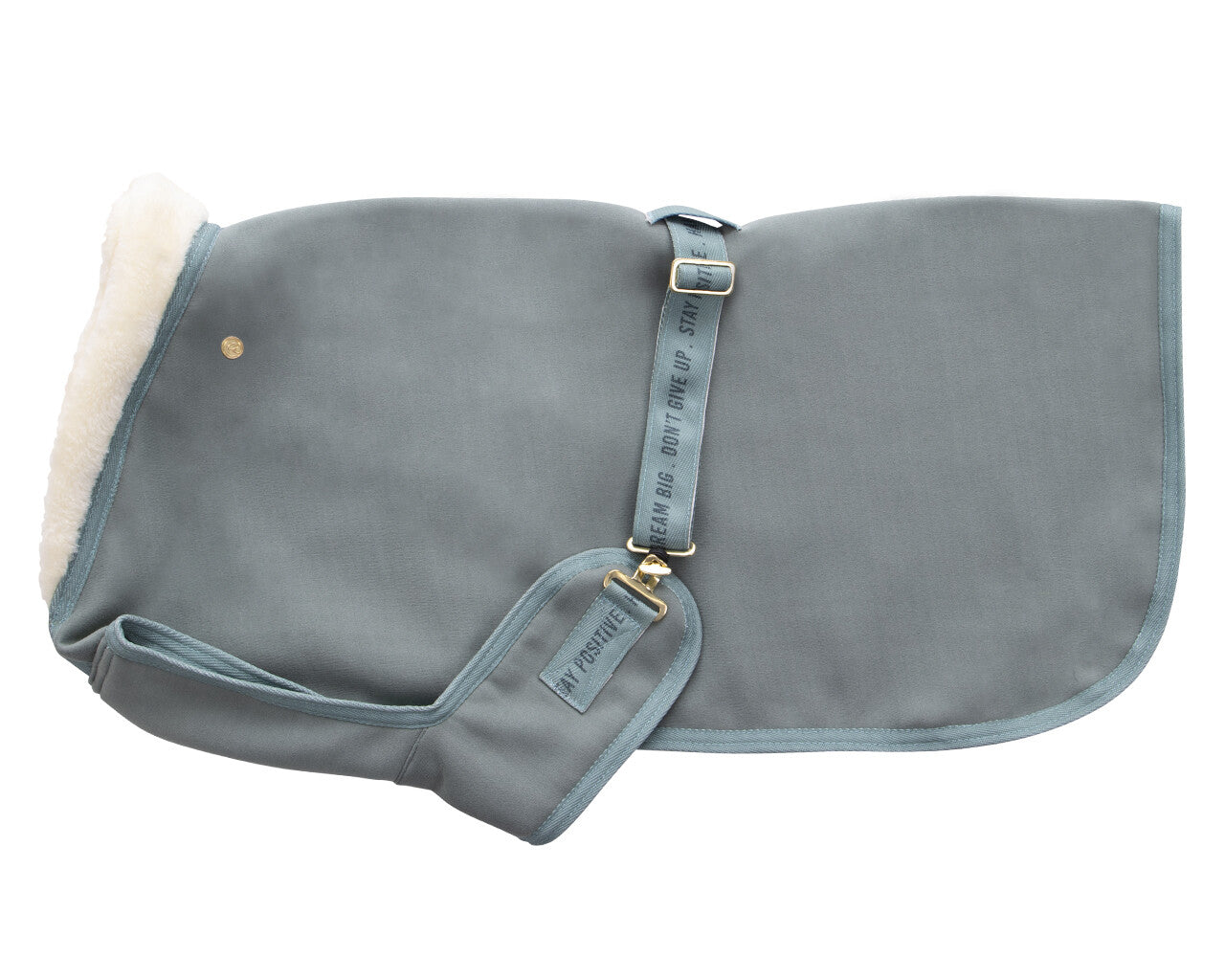 dog rug equestrian dream
