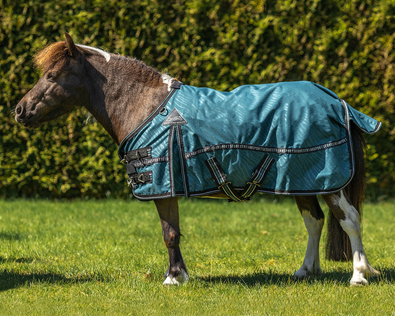 turnout rug falabella collection 0gr