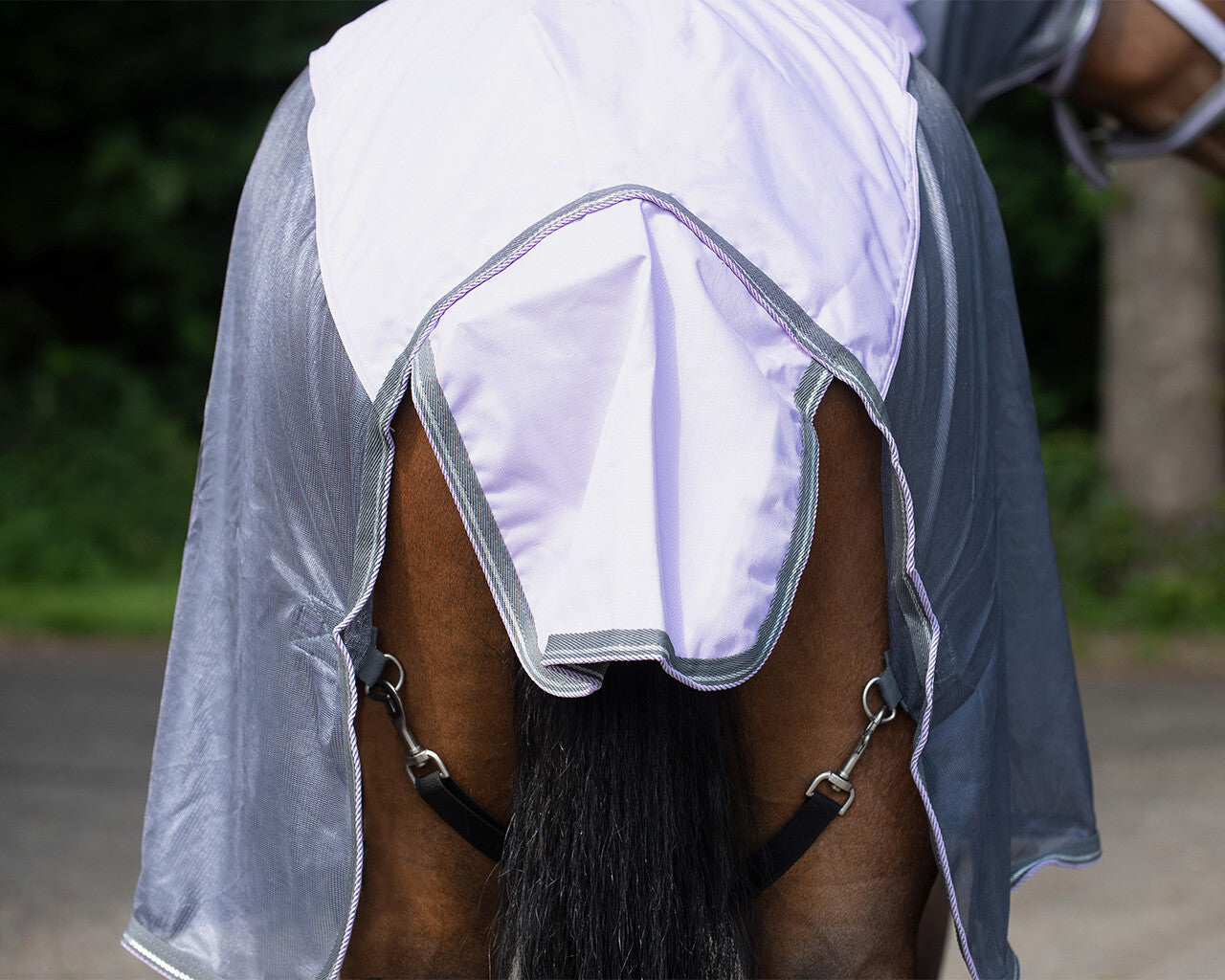 anti-fly rug combo collection with neck
