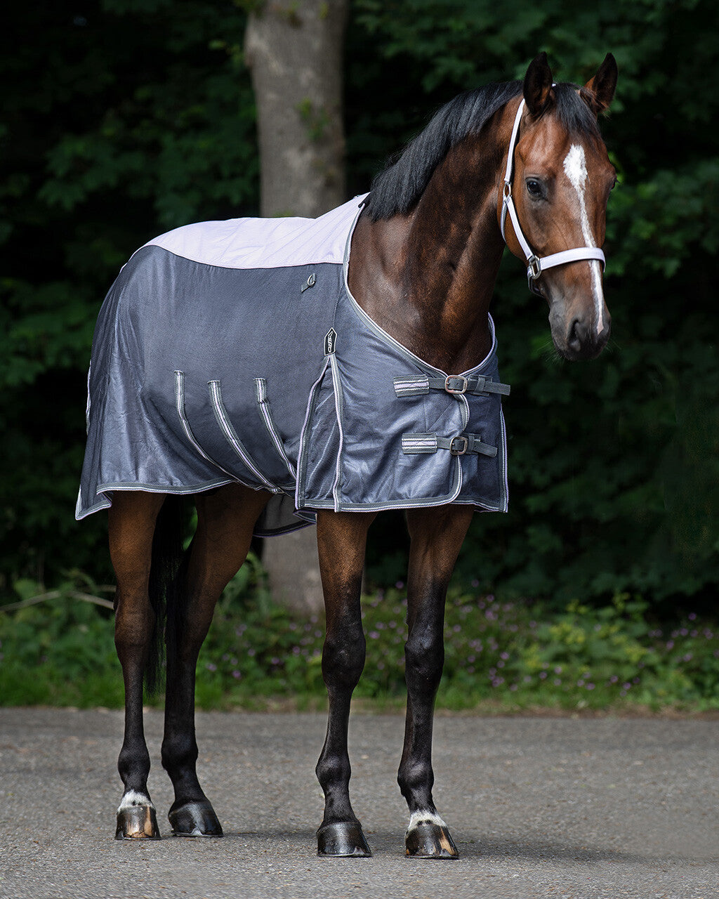 anti-fly rug combo collection with neck
