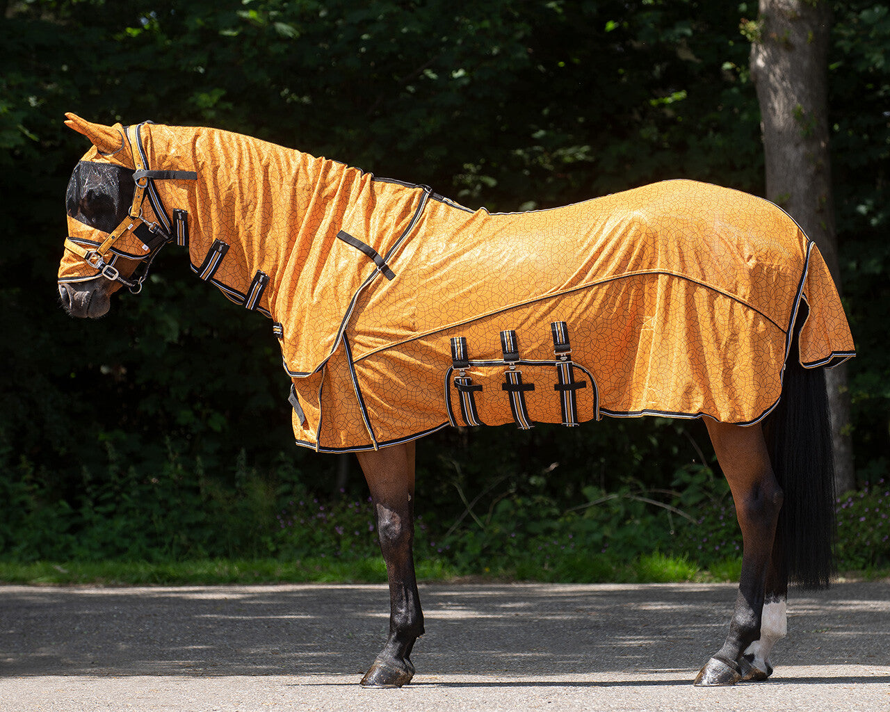 anti-fly sheet collection with neck and hood