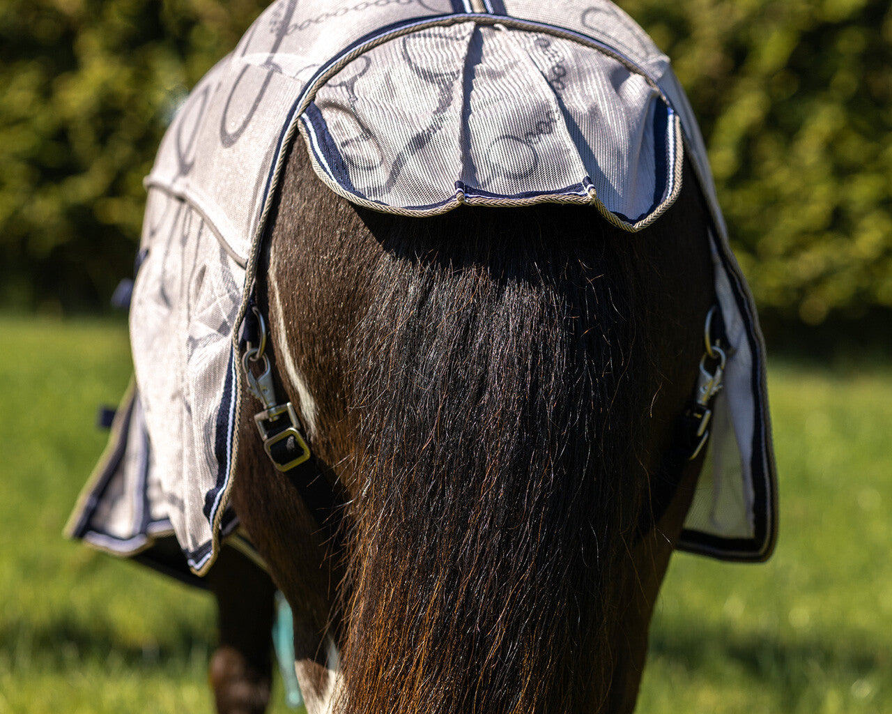anti-fly rug falabella collection