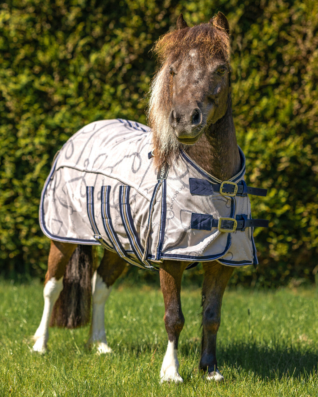 anti-fly rug falabella collection