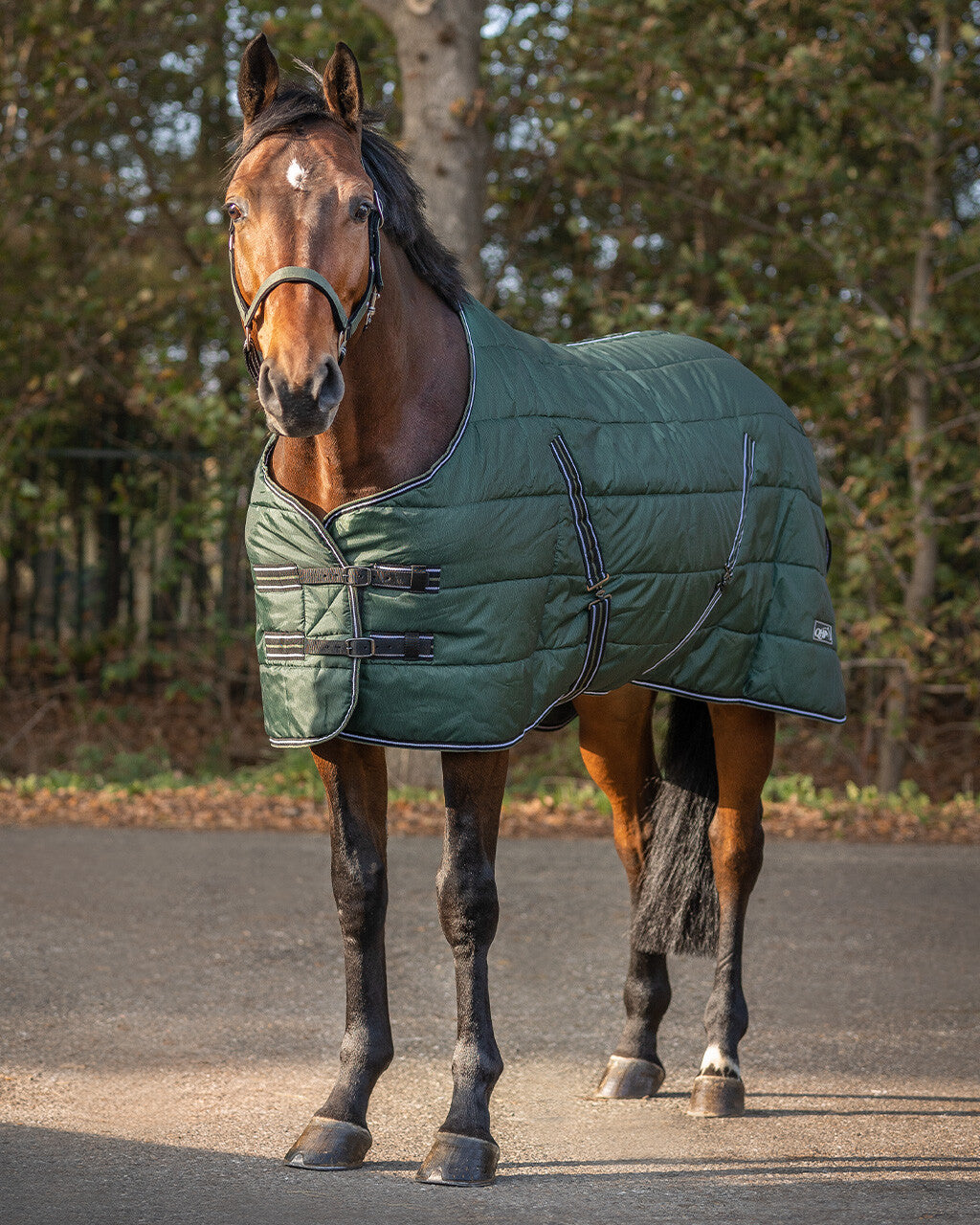 stable rug start collection 200gr