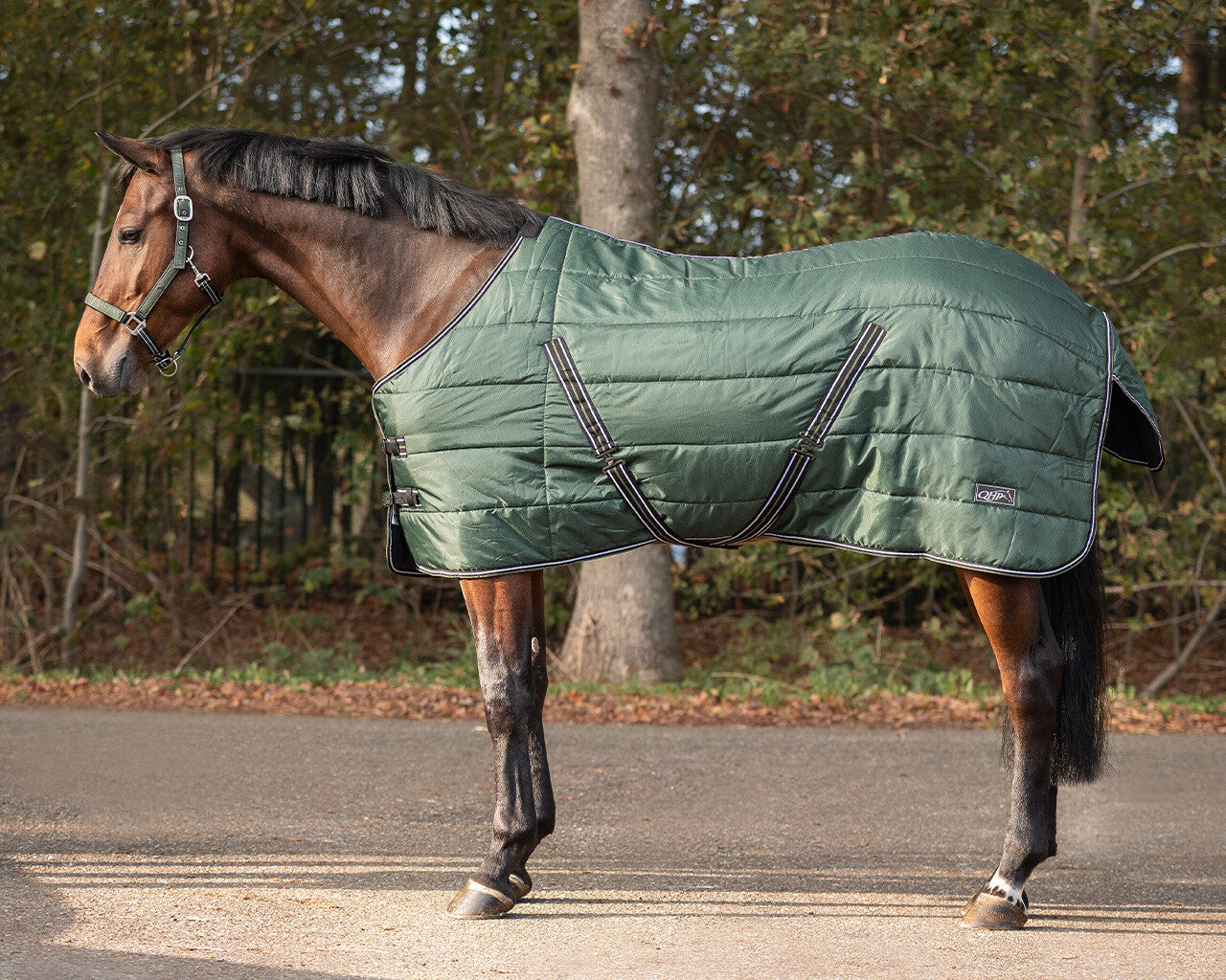 stable rug start collection 200gr