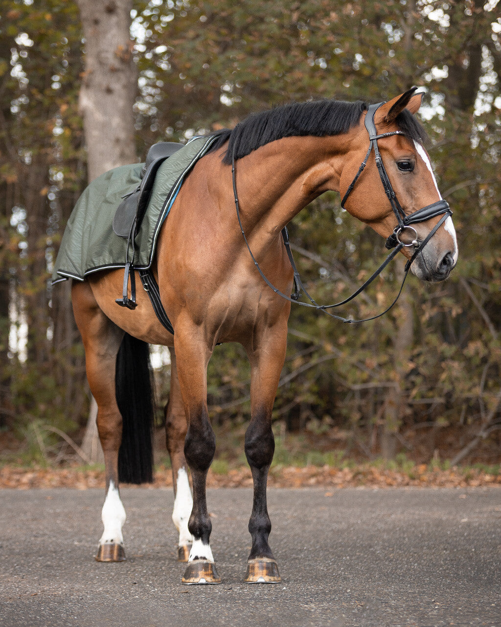 exercise sheet turnout collection fleece
