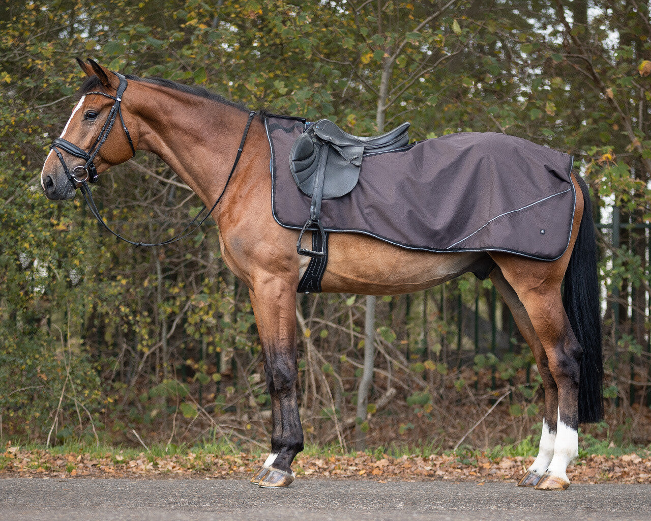 exercise sheet turnout collection fleece