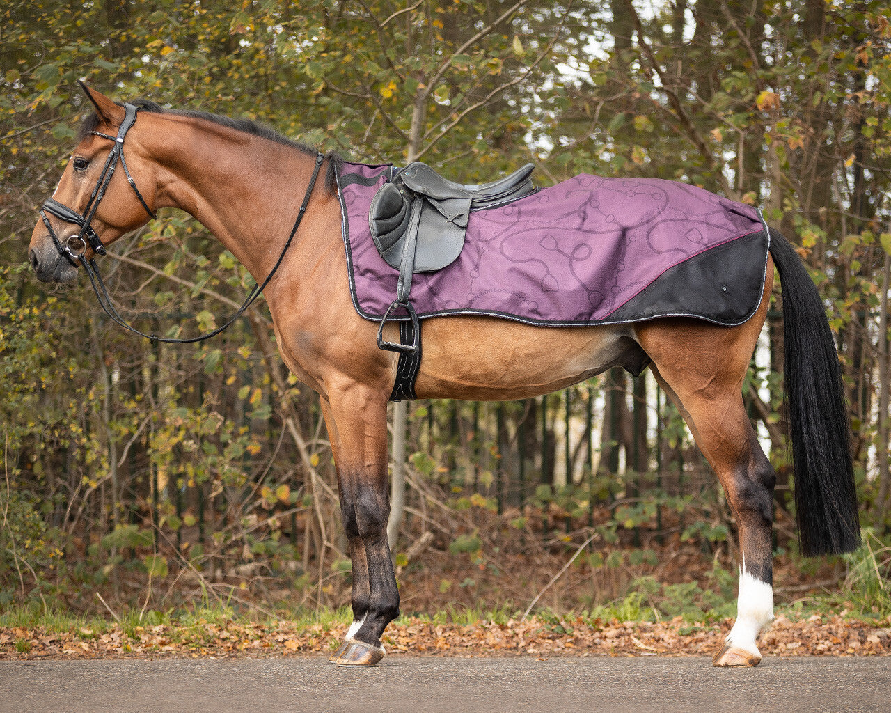 exercise sheet turnout collection fleece