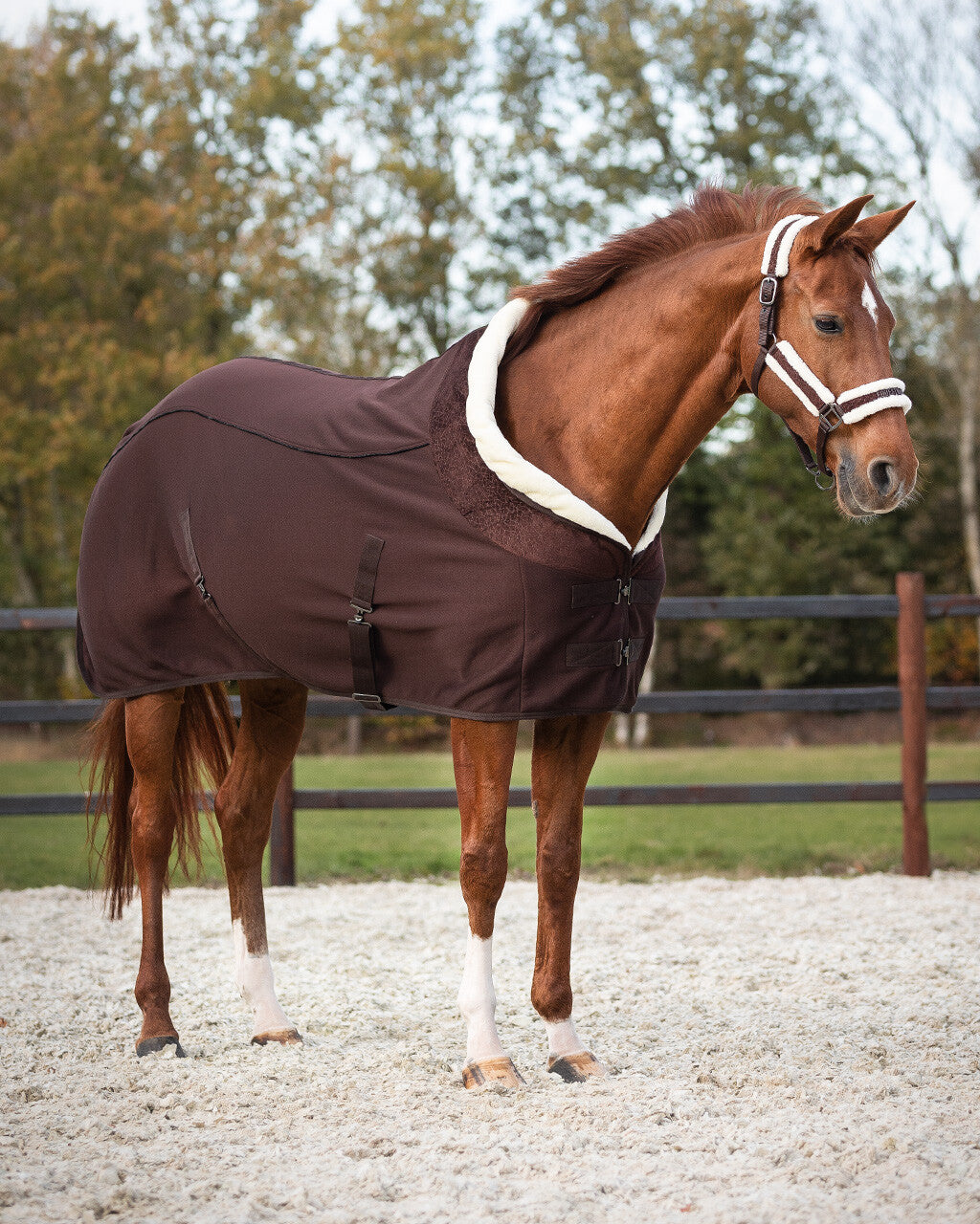 show rug julin