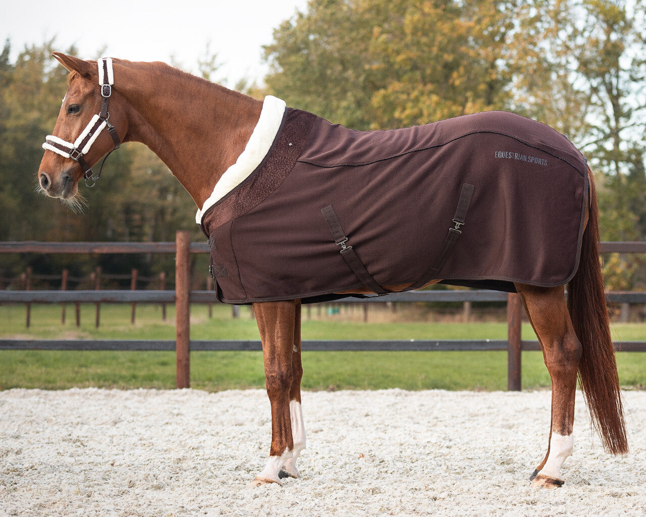 show rug julin
