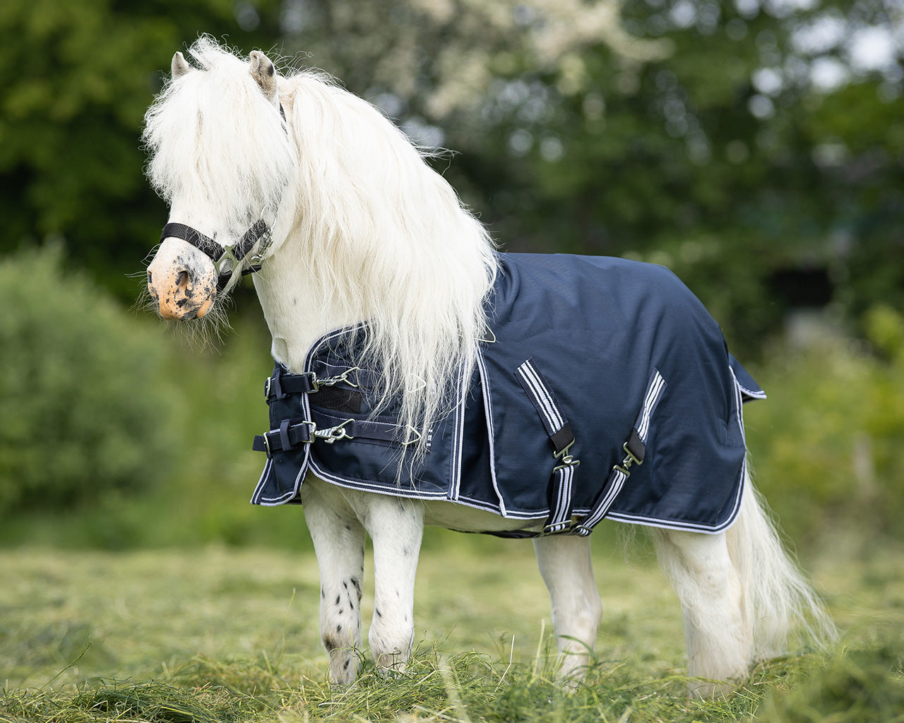 Turnout rug falabella 0gr