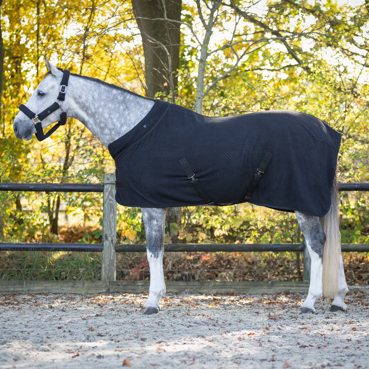 6389