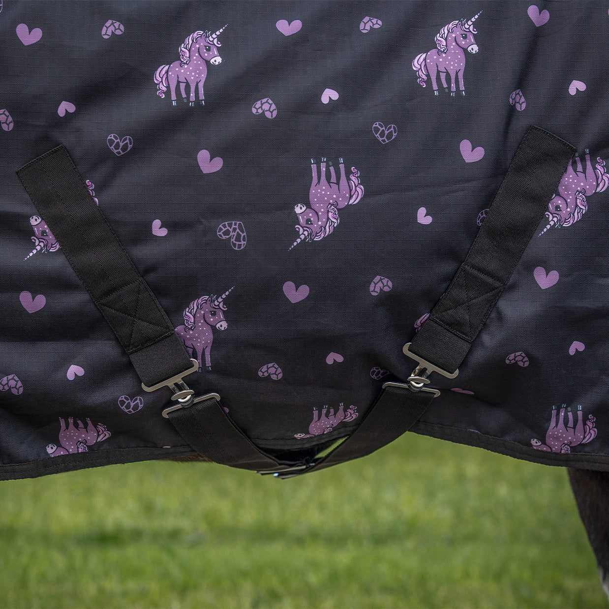 Turnout rug Lize 100gr Black/violet / 95