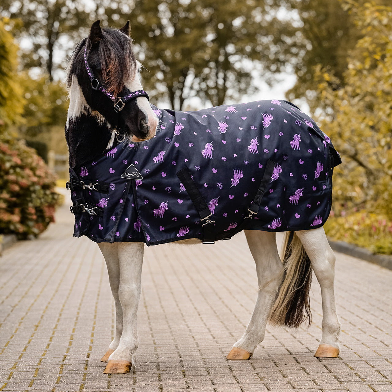 Turnout rug Lize 100gr Black/violet / 95