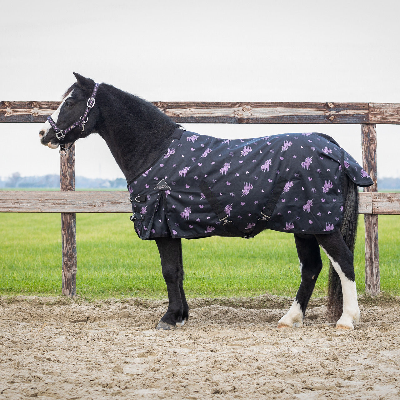 Turnout rug Lize 100gr Black/violet / 95