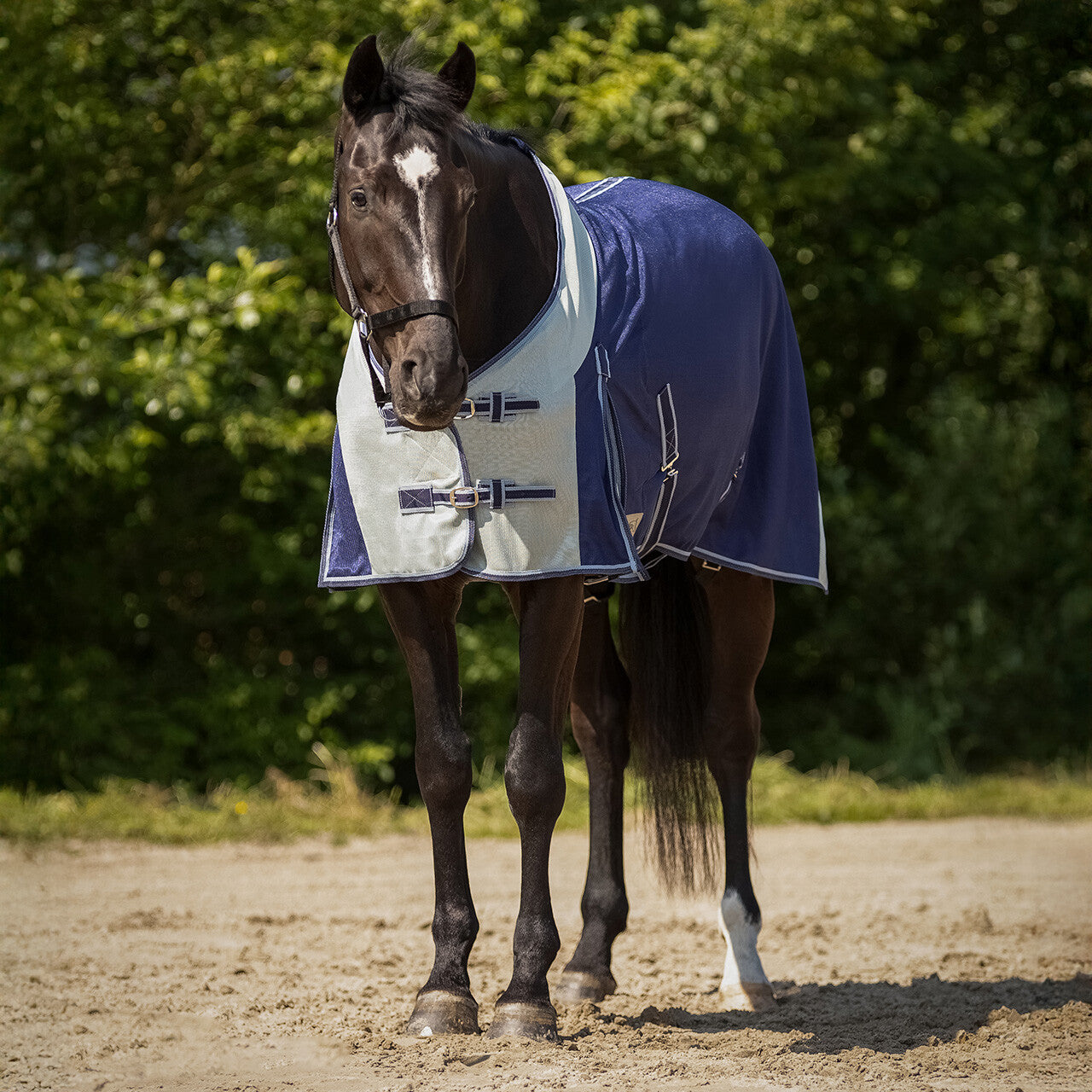 Fly rug