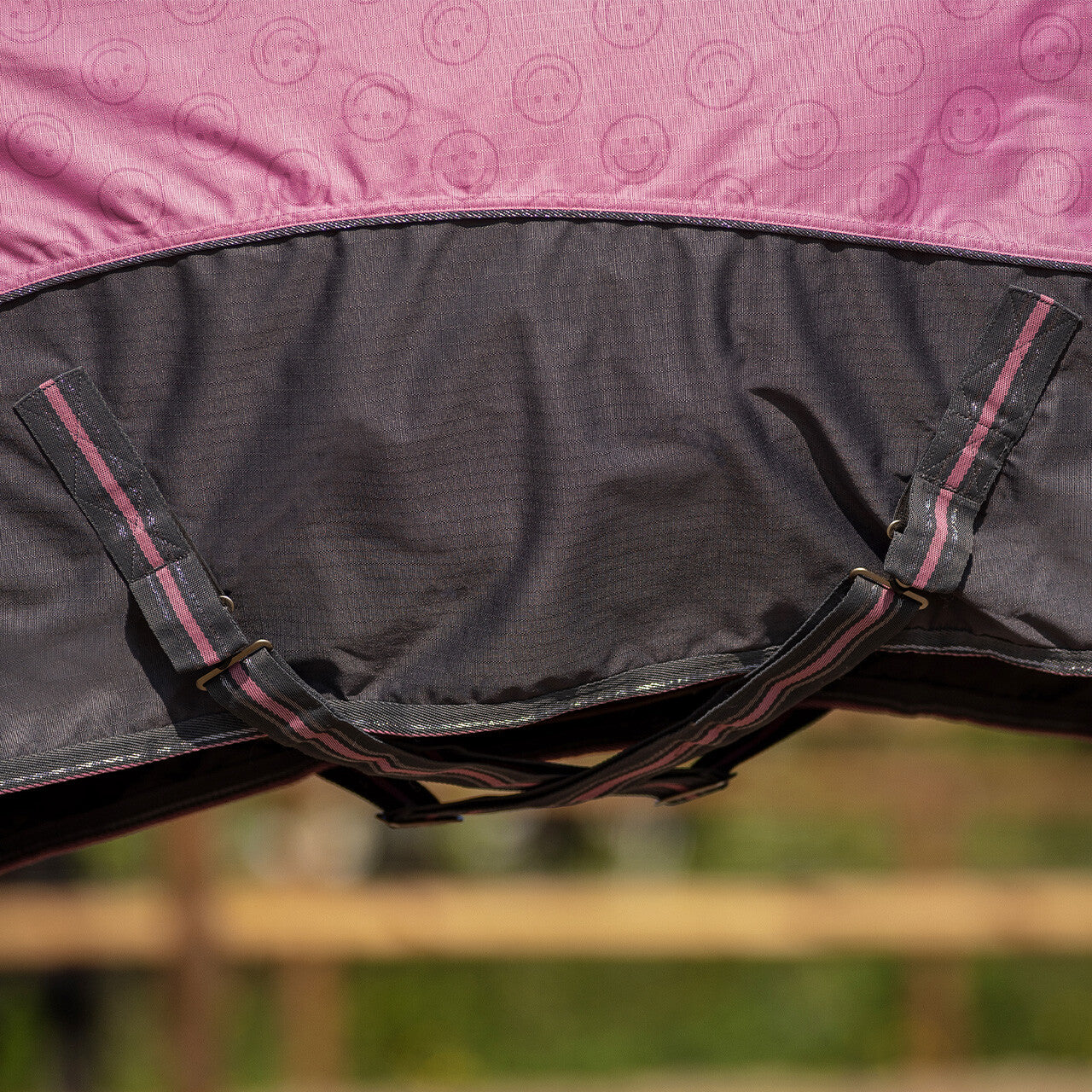 Turnout rug collection fleece lining